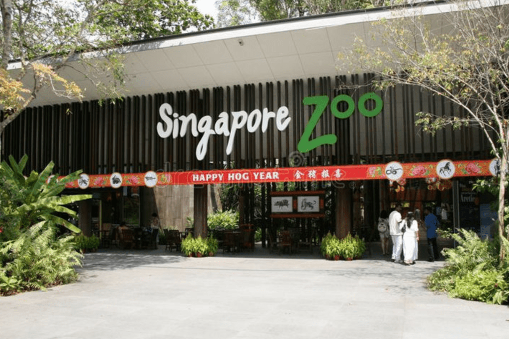 Kebun Binatang Singapura