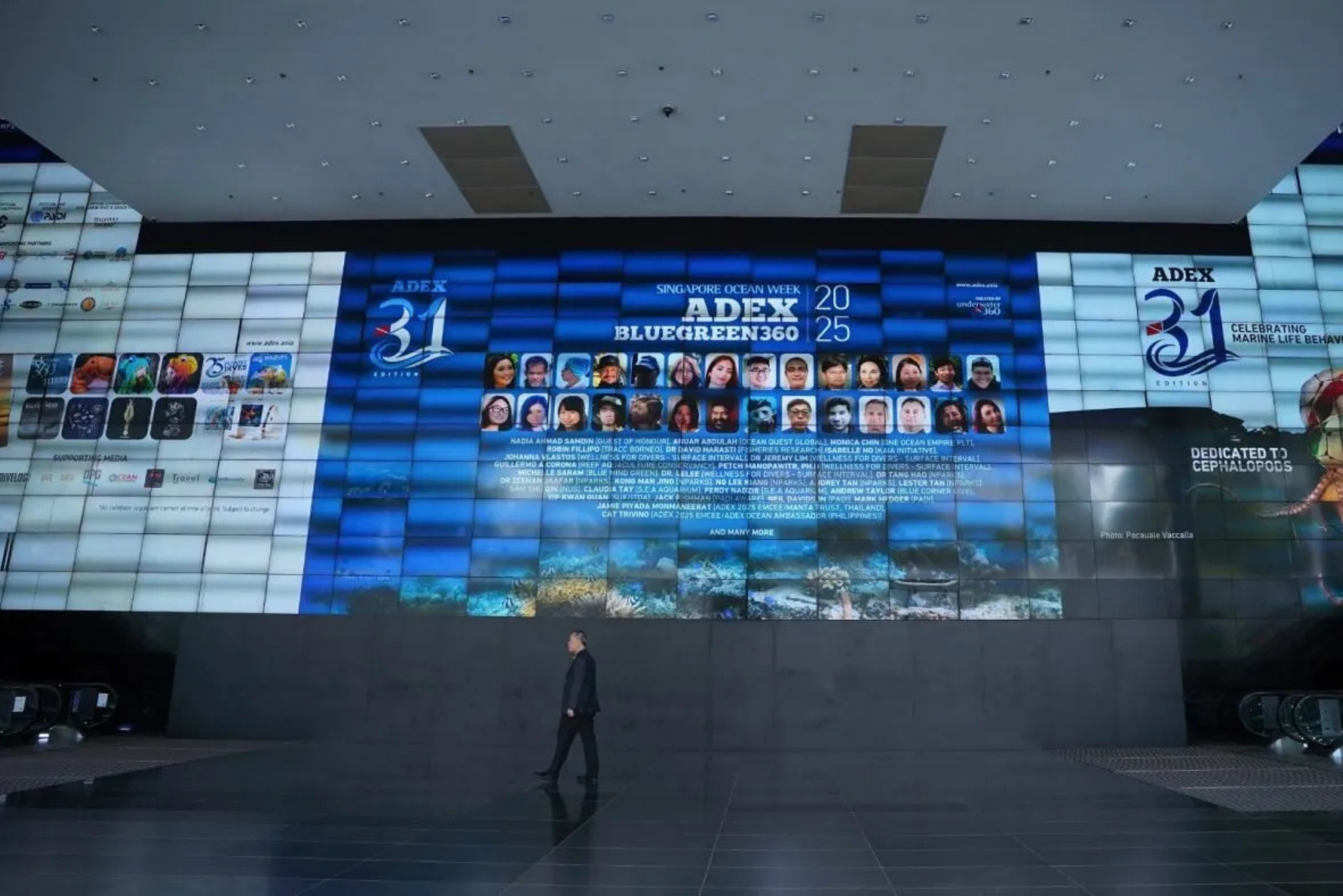 ADEX Big Blue Legacy