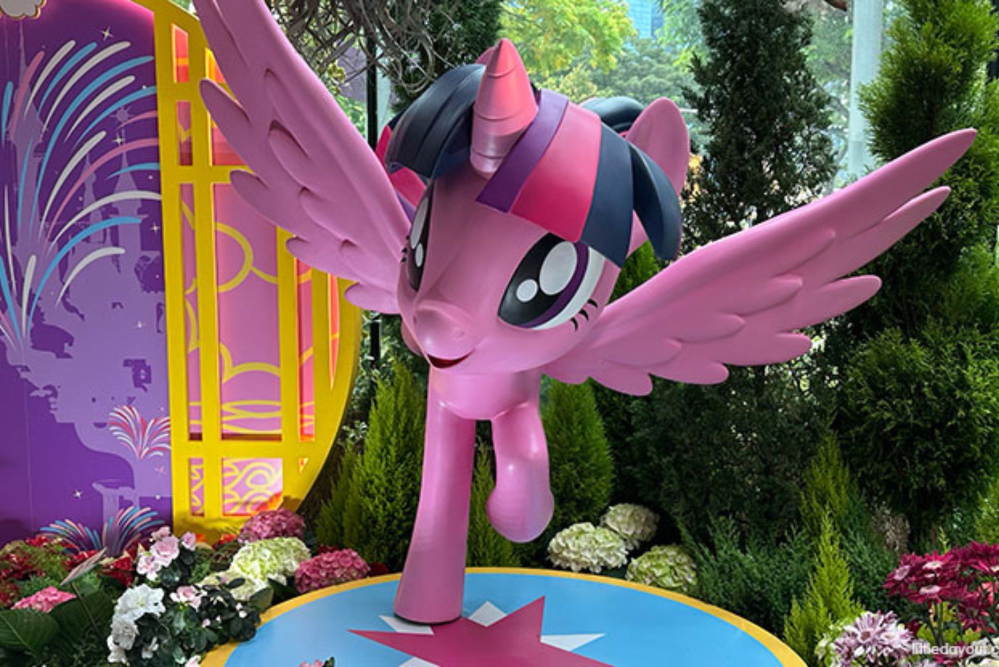 Petals of Friendship